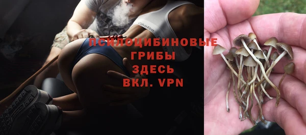 гидра Наволоки