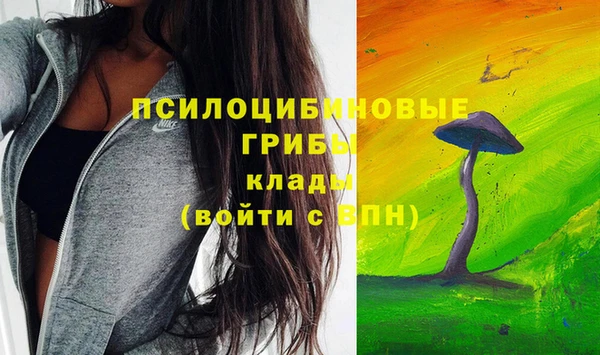 мет Гвардейск