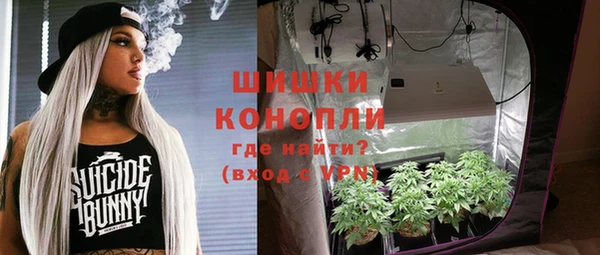 спайс Гатчина