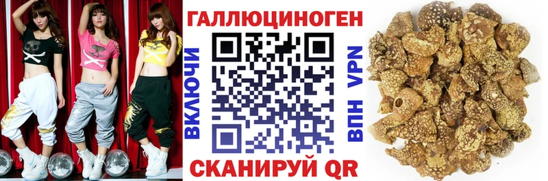 Галлюциногенные грибы мицелий  цены наркотик  Невель 