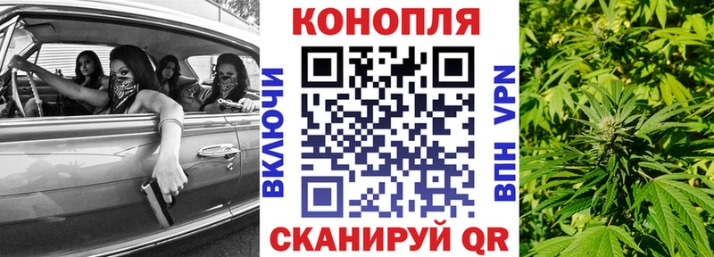 МАРИХУАНА OG Kush  Невель 